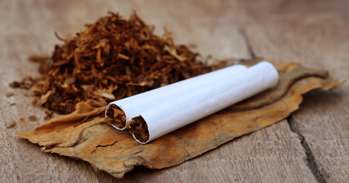 Celebrating Diversity: Variations in Native Smoke Practices